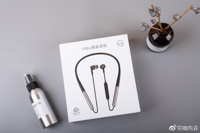 小Biu智能耳机上手体验 苏宁智能生态的“一链”新声